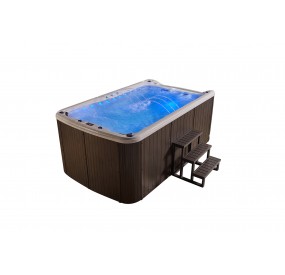 SPA DE NAGE S390 390 X 220 X 145 - Vue  avec son escalier